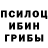 Псилоцибиновые грибы Psilocybe James Harwood