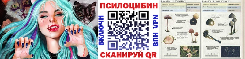 Псилоцибиновые грибы Magic Shrooms Елец