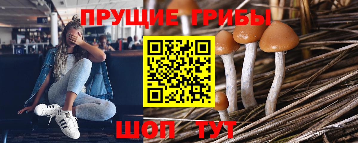 Галлюциногенные грибы мицелий Елец